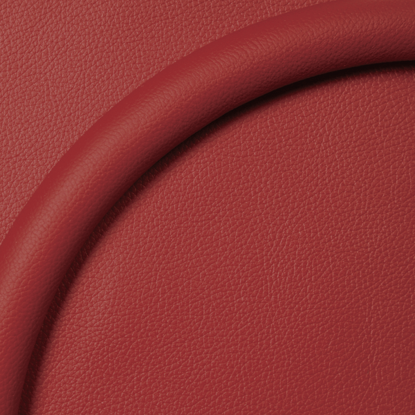 Red Leather